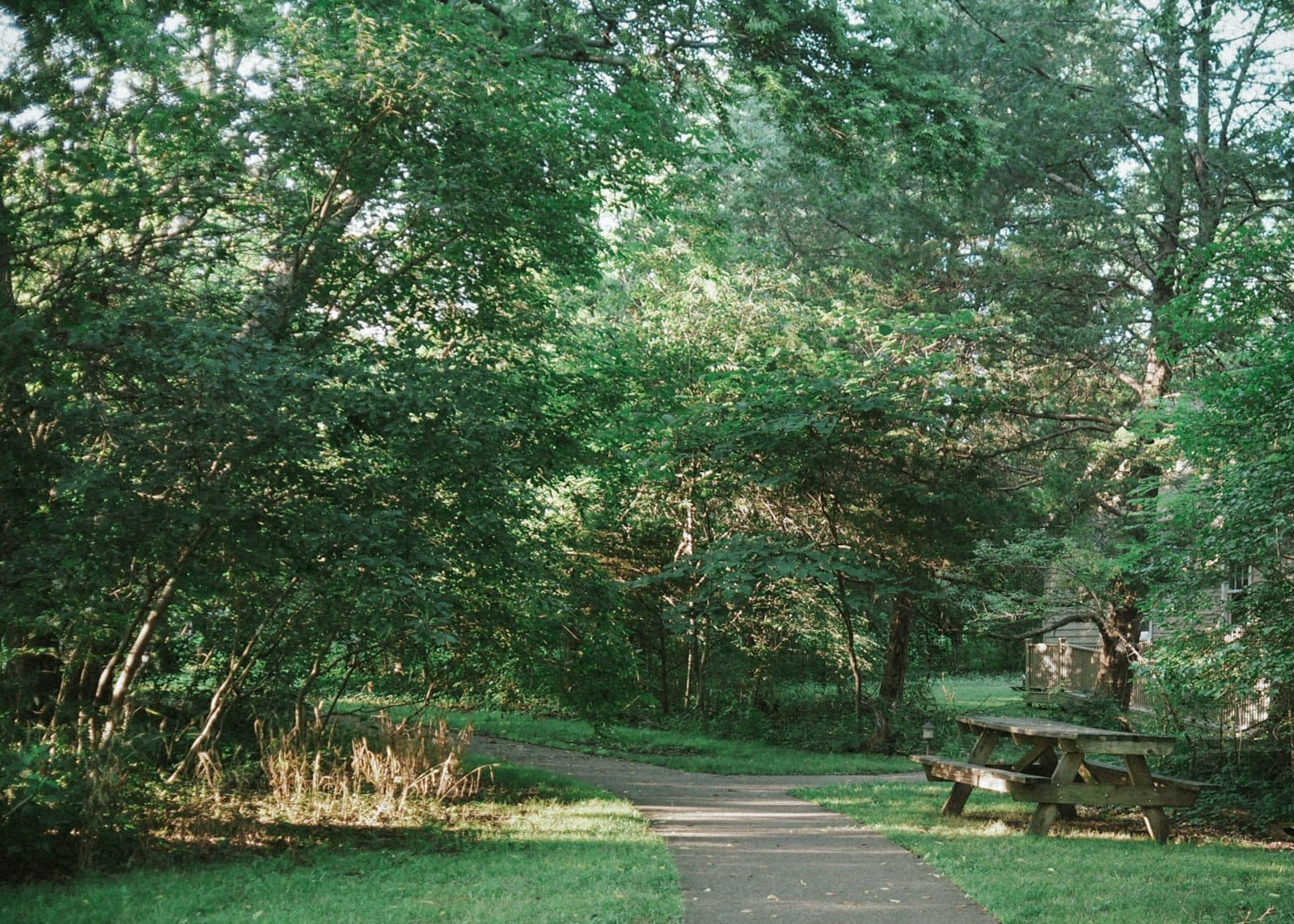 Shelby Bottoms Greenway y Área Natural: La mejor escapada gratuita de Nashville