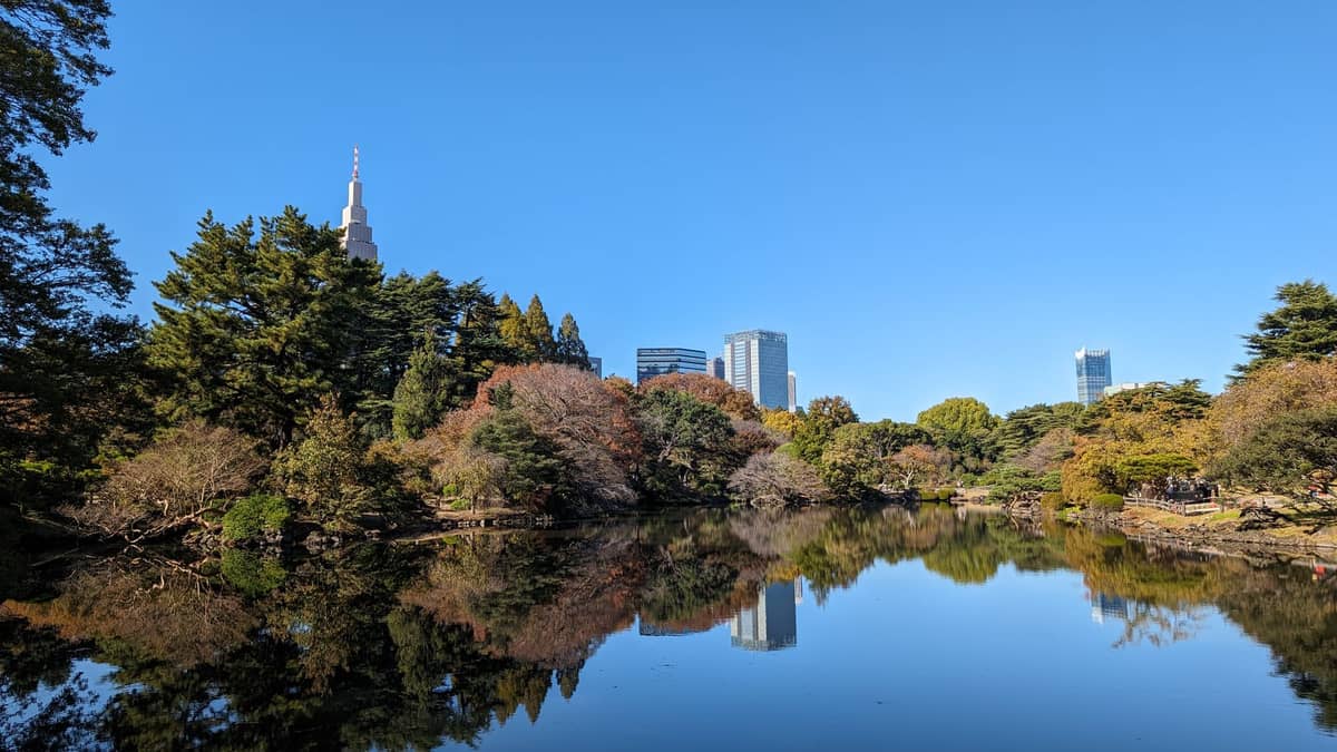 Shinjuku Gyoen National Garden pond with city skyline reflections, lush greenery, and iconic NTT Docomo tower under a bright blue sky.
