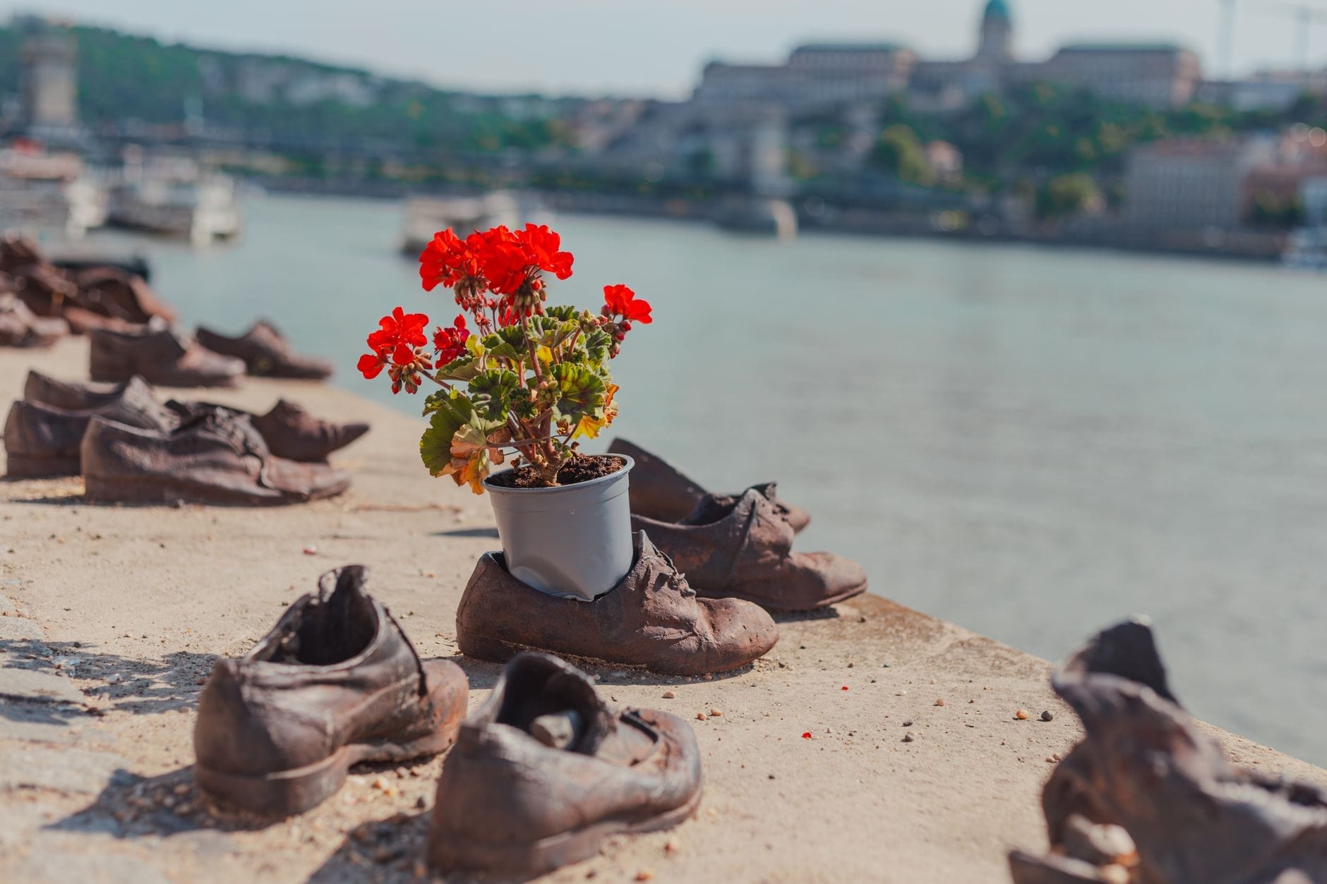 Fila di scarpe in ghisa sul memoriale della Riva del Danubio con un vaso di fiori rosso, con vista sul fiume e il Castello di Buda a Budapest.