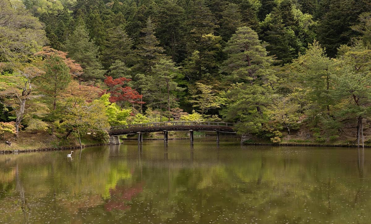 Wooden bridge crossing a tranquil pond surrounded by lush green trees in Shugakuin Imperial Villa, reflecting natural beauty and serenity.