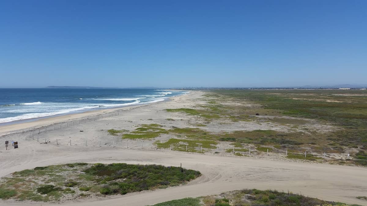 วิวแนวกว้างของ Silver Strand State Beach เห็นแนวทรายริมทะเล คลื่นสีฟ้า อุดมด้วยพืชพรรณธรรมชาติ และฉากหลังเป็นสกายไลน์เมืองซานดิเอโกไกล ๆ