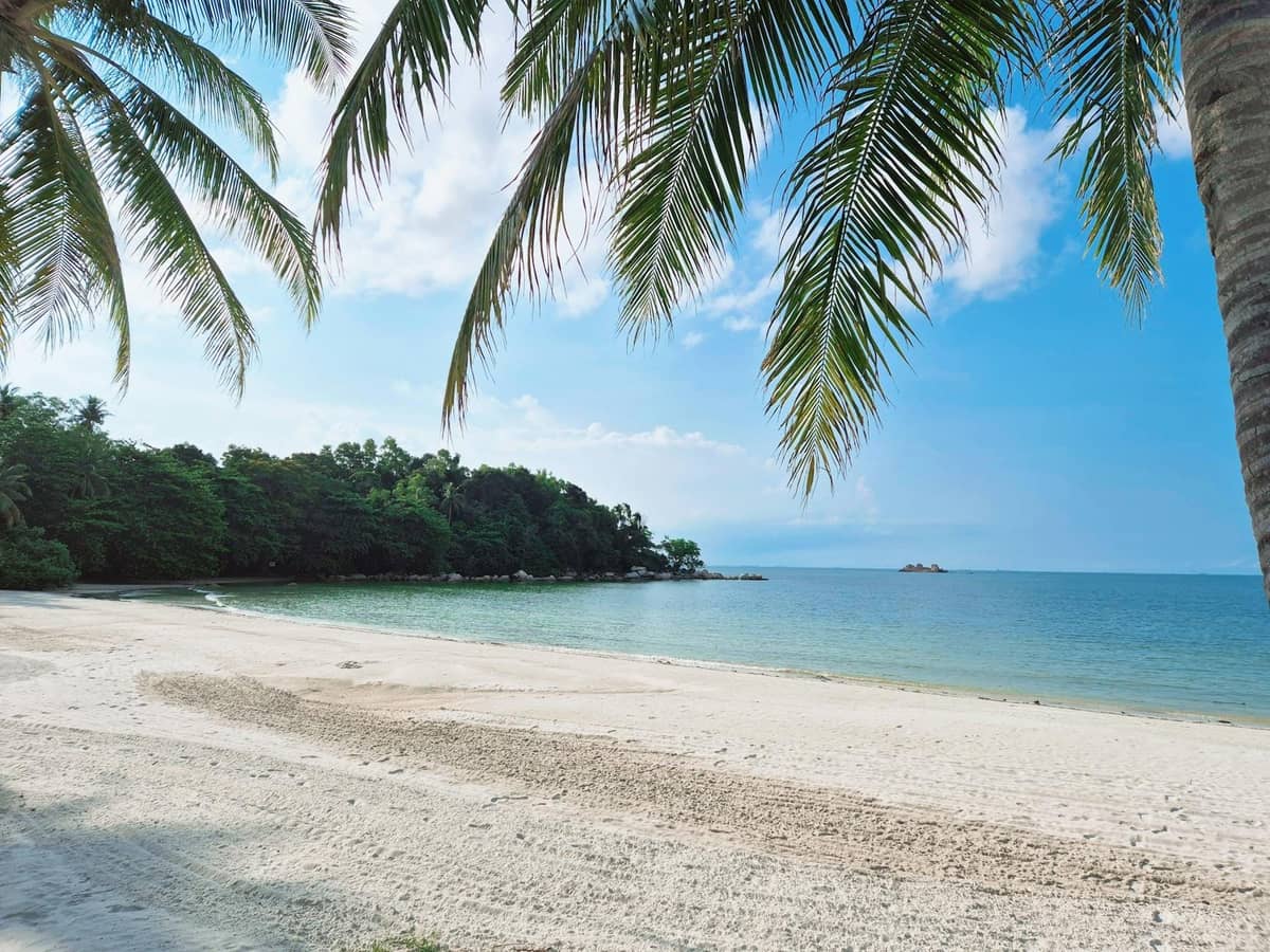 A quiet tropical beach with soft sand, clear blue water, and palm trees under a blue sky on a serene day.