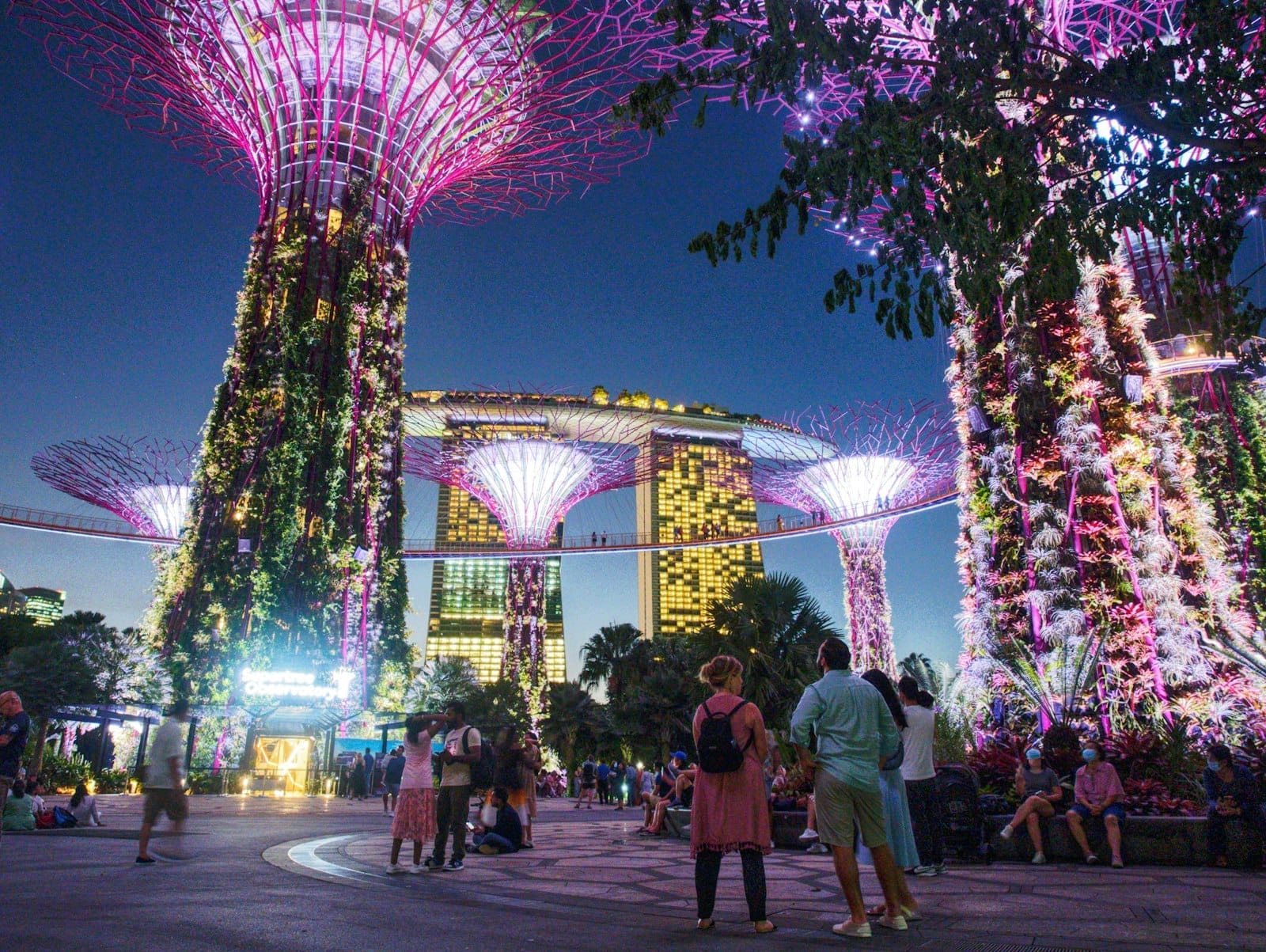 Famílias e crianças caminham sob as Supertrees iluminadas do Gardens by the Bay em Singapura durante a noite, com o Marina Bay Sands ao fundo.