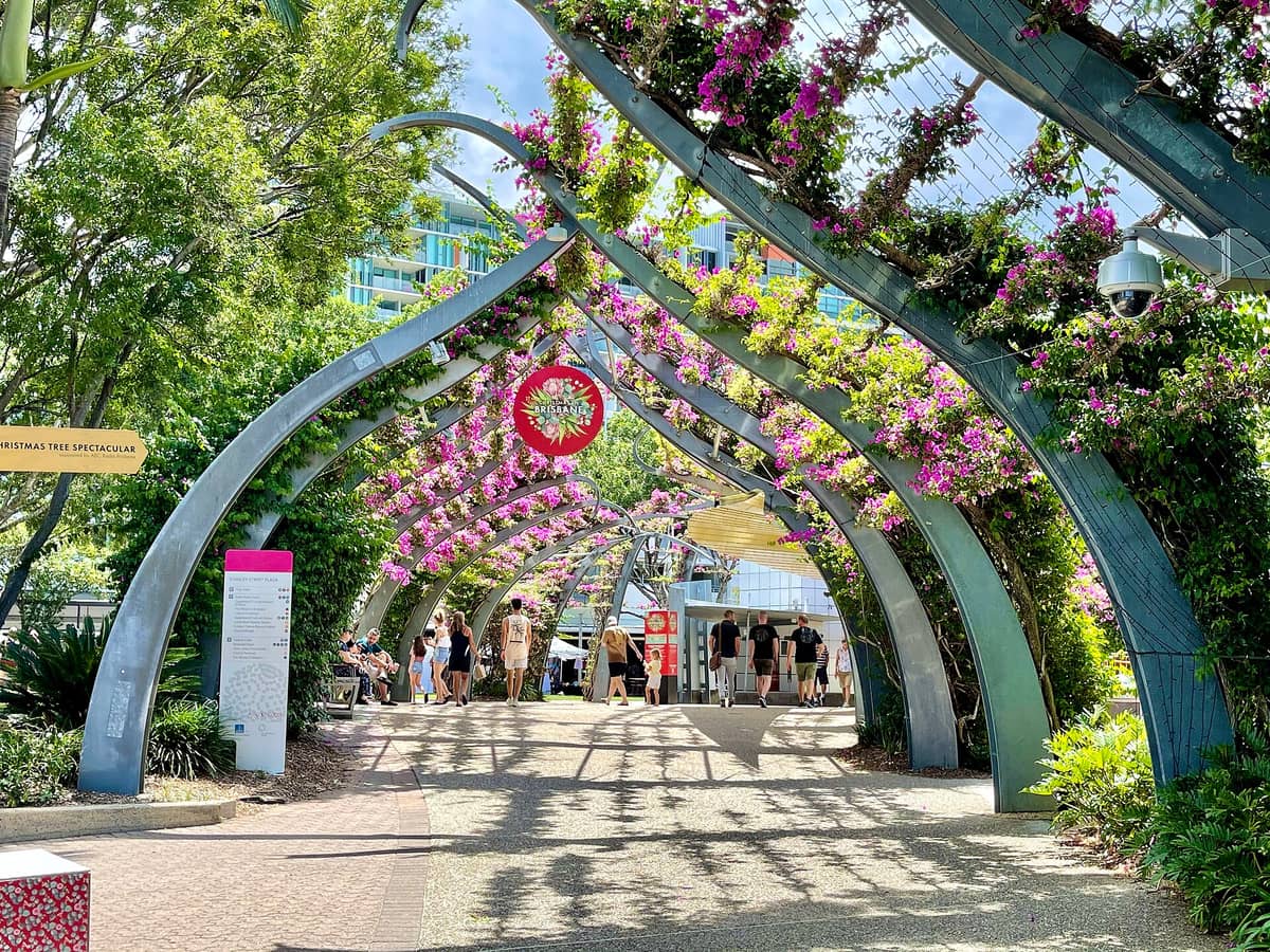 Geschwungene, mit lila Bougainvillea bewachsene Pergola in den South Bank Parklands, unter der Menschen an einem sonnigen Tag spazieren, umgeben von üppigem Grün.