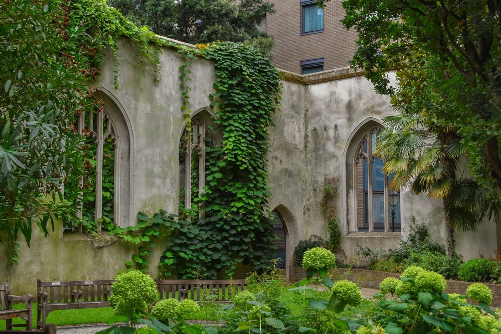Mura in pietra in rovina e finestre ad arco di St Dunstan in the East coperte di edera, circondate da rigogliosi giardini verdi e panchine.