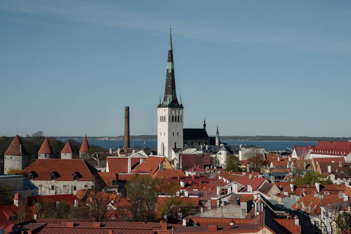 Weiter Blick über Tallinns Altstadt mit der Olafskirche und ihrem hohen Turm, der über die roten Dächer aufragt – im Hintergrund das Meer.