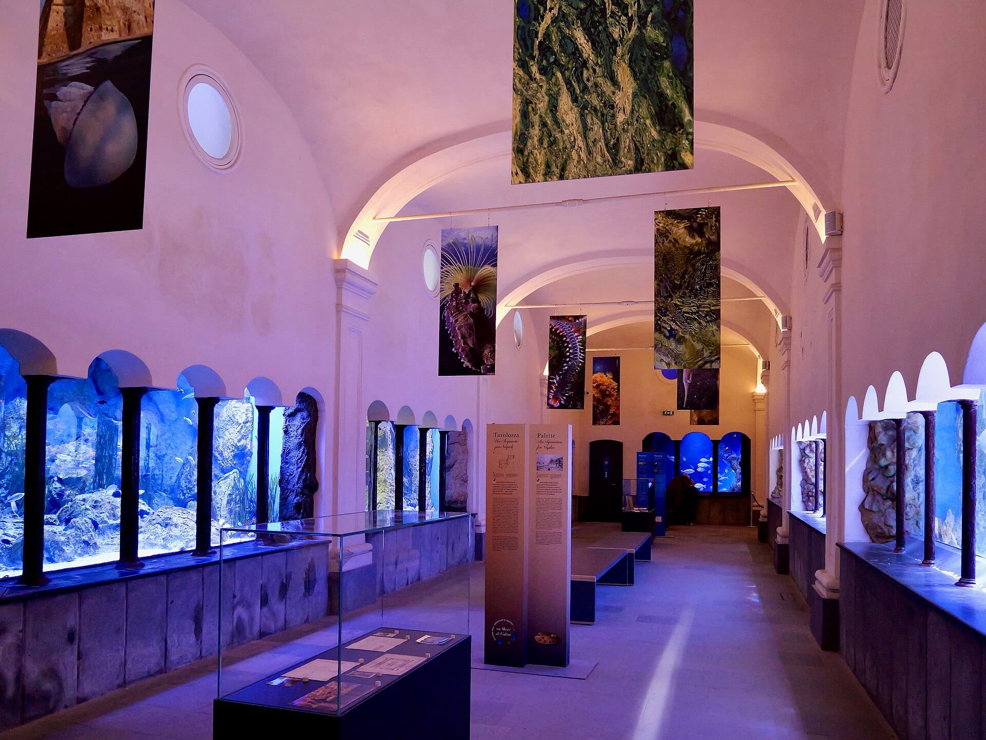 Interno della Stazione Zoologica Anton Dohrn con vasche acquatiche contenenti fauna marina mediterranea e pannelli informativi sotto soffitti ad arco.