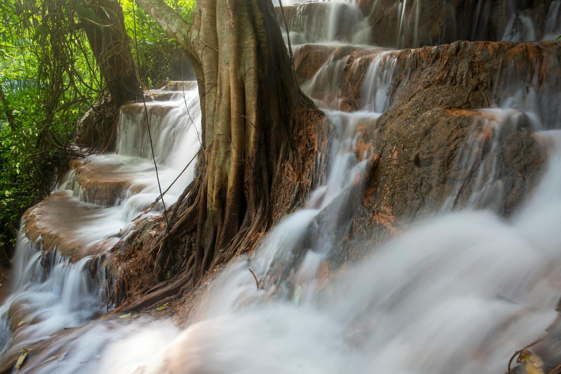 Terrazas de piedra caliza y raíces de árboles en la cascada pegajosa Bua Tong, con agua cristalina cayendo suavemente en un exuberante bosque tailandés.