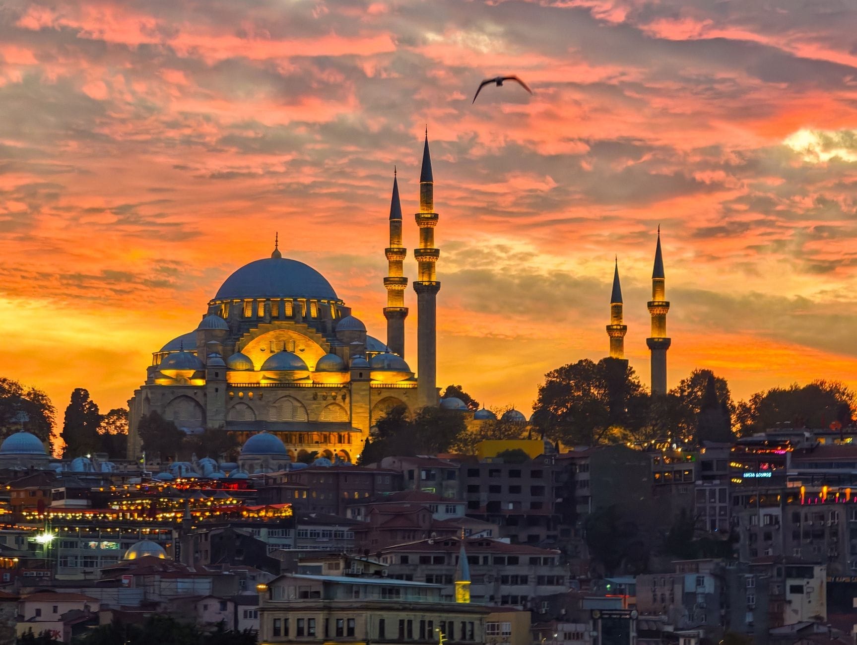 La Moschea di Süleymaniye illuminata in modo suggestivo al tramonto, con lo skyline di Istanbul sullo sfondo, nuvole arancioni vibranti e un uccello in volo sopra di essa.