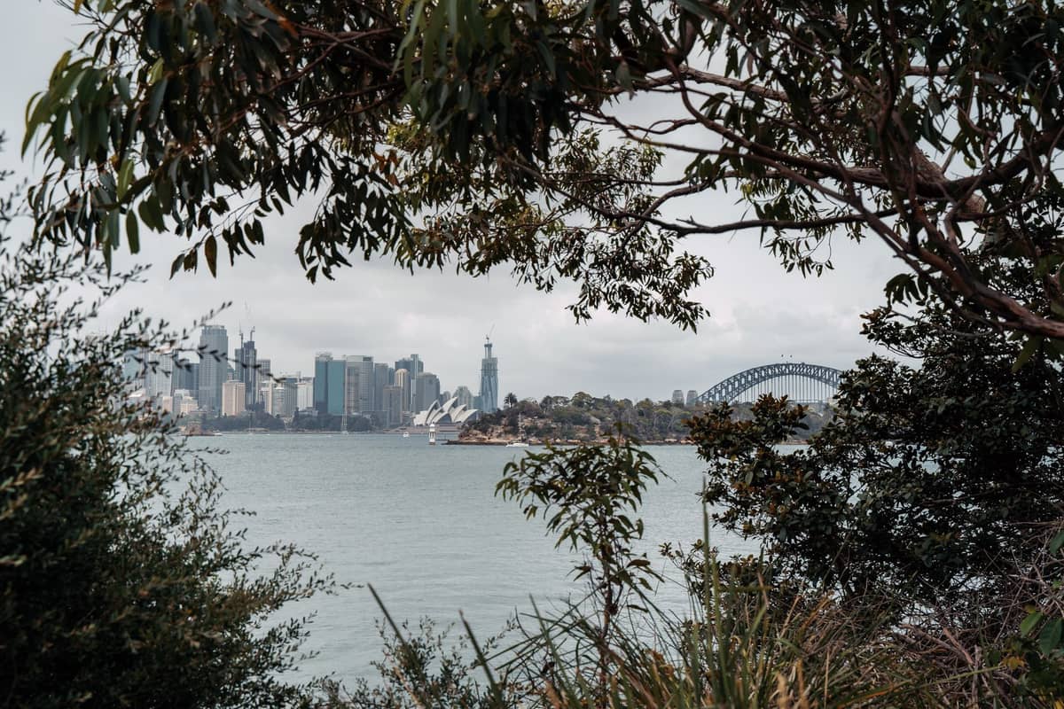 Skyline der Stadt Sydney Harbour und die Harbour Bridge durch einheimisches Buschland betrachtet, als Reminiszenz an das Erlebnis des Küstenwanderwegs vom Spit Bridge nach Manly.