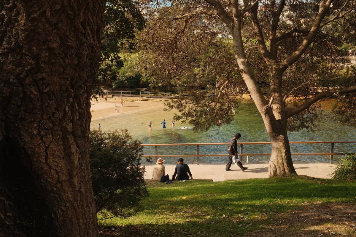 Un parque tranquilo y sombreado con vistas a una pequeña cala de arena donde algunas personas se bañan y descansan, rodeadas de árboles en Sídney.