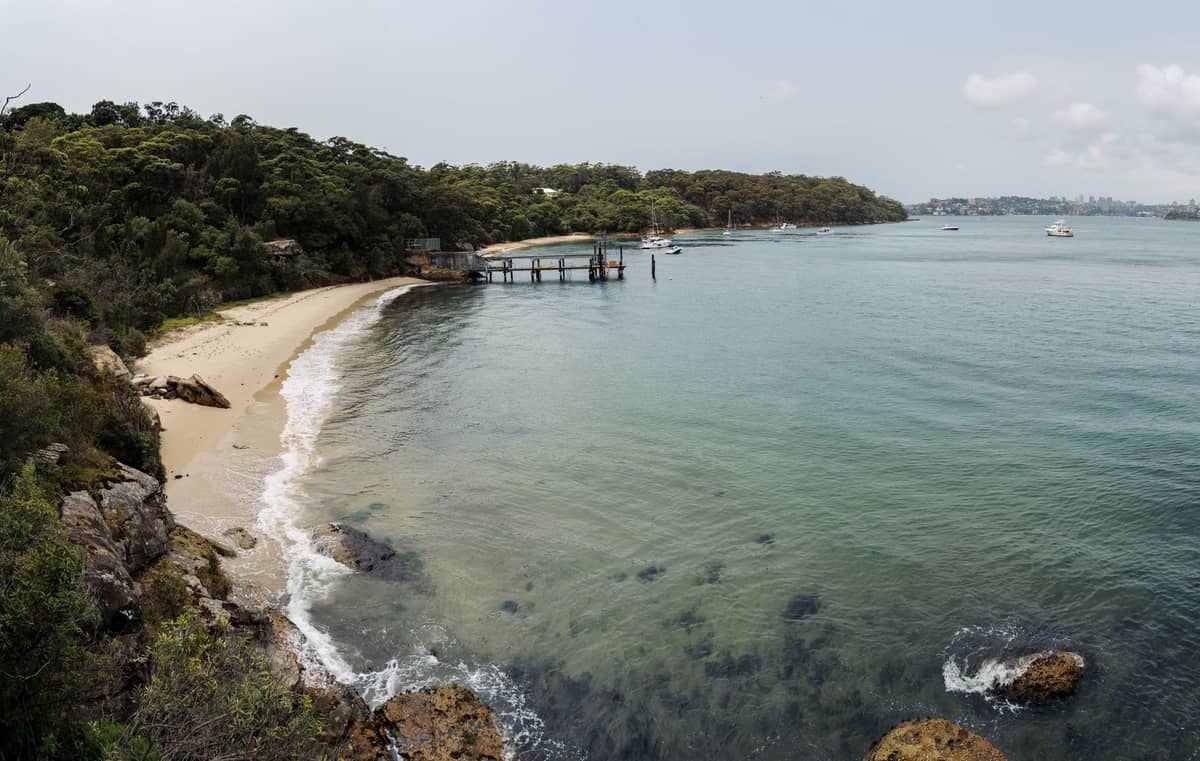 Pequeña playa de arena tranquila y cala en Sydney Harbour con un muelle, fondo boscoso y agua en calma, poca gente visible.