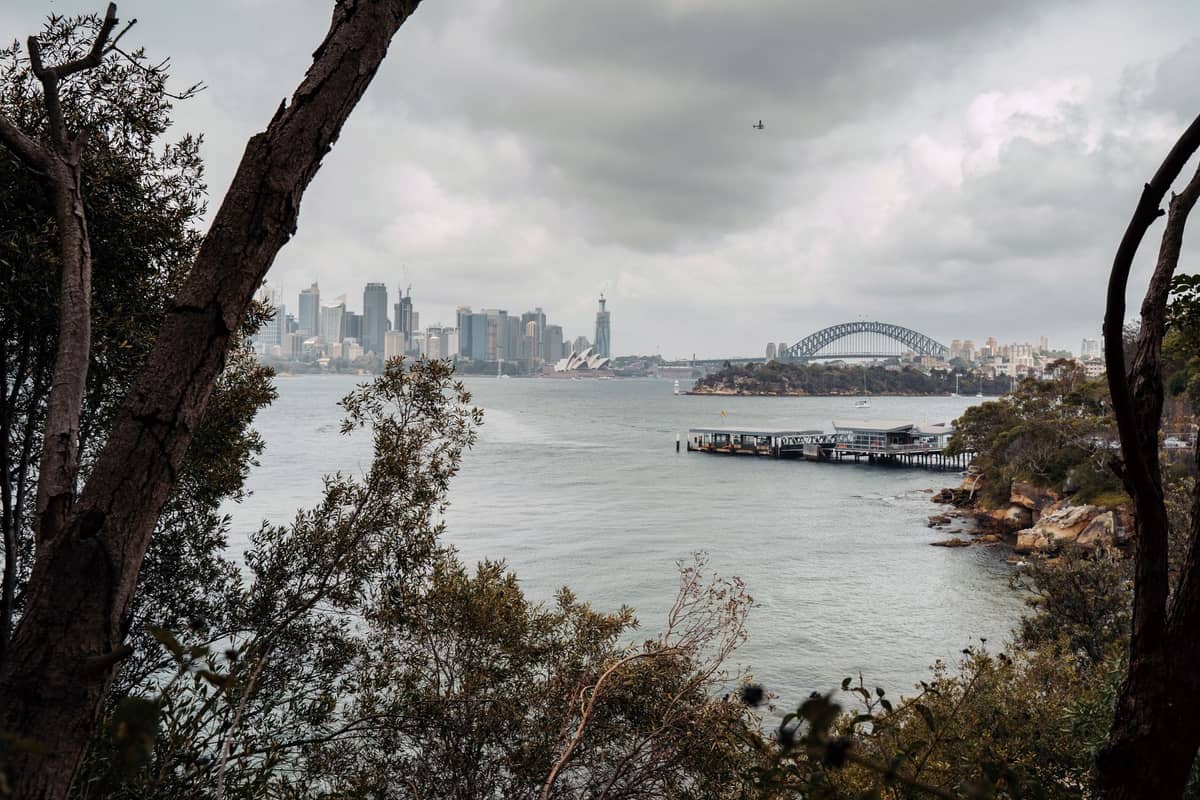 Vista del puerto de Sídney y el horizonte de la ciudad desde un sendero costero con vegetación, con árboles enmarcando el agua y el icónico Harbour Bridge al fondo.
