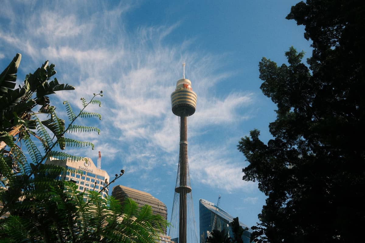 Der Sydney Tower Eye ragt über die umliegenden Stadtgebäude und üppigen Bäume hinaus, vor einem klaren blauen Himmel mit vereinzelten Schleierwolken.