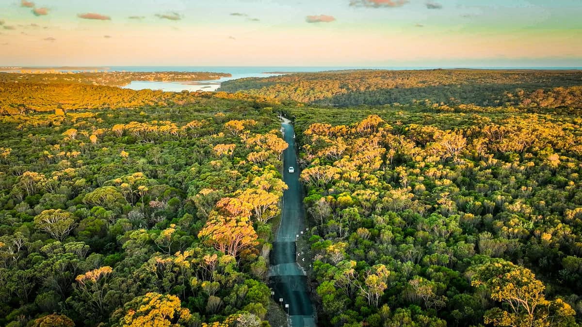 Vista aérea de una carretera serpenteando por un denso matorral con vías fluviales a lo lejos, probablemente el Royal National Park cerca de Sídney.