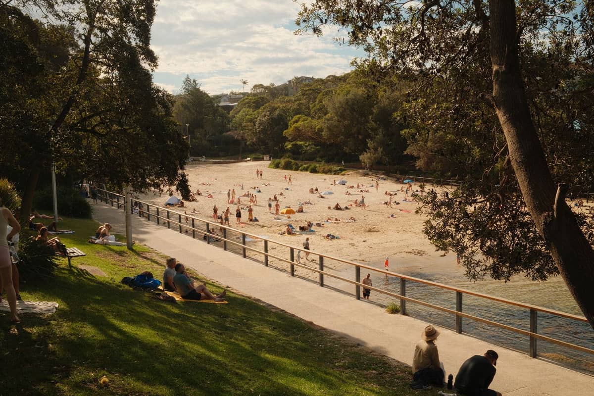 Shaded park with people relaxing on grass and a sandy beach with families and children by calm water, surrounded by trees
