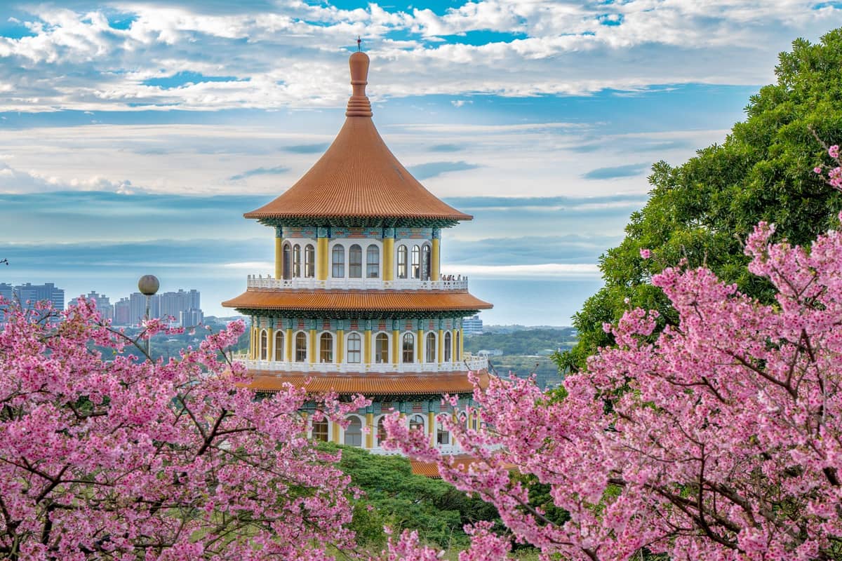 Blick auf die Pagode des Tian Yuan Tempels in Taipei, umgeben von blühenden Kirschbäumen und sattem Frühlingsgrün unter blauem Himmel.
