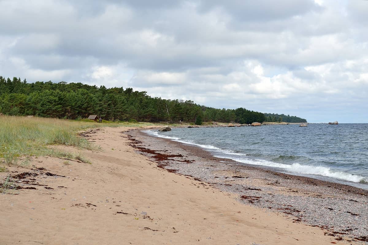 Una spiaggia selvaggia di sabbia con rocce sparse, foresta di pini e onde gentili in una giornata parzialmente nuvolosa, probabilmente un'isola vicino a Tallinn.