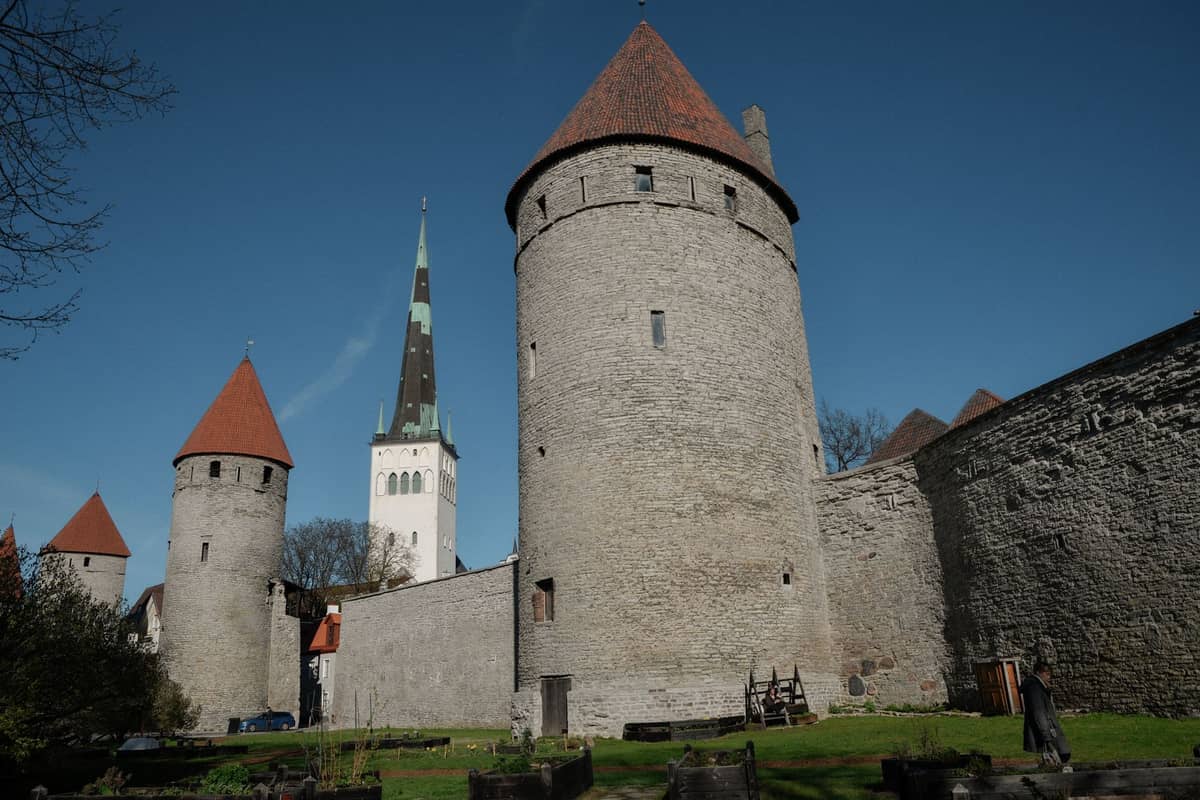 Tallinns mittelalterliche Stadtmauer und Türme mit dem Kirchturm der Olaikirche im Hintergrund unter einem klaren blauen Himmel.