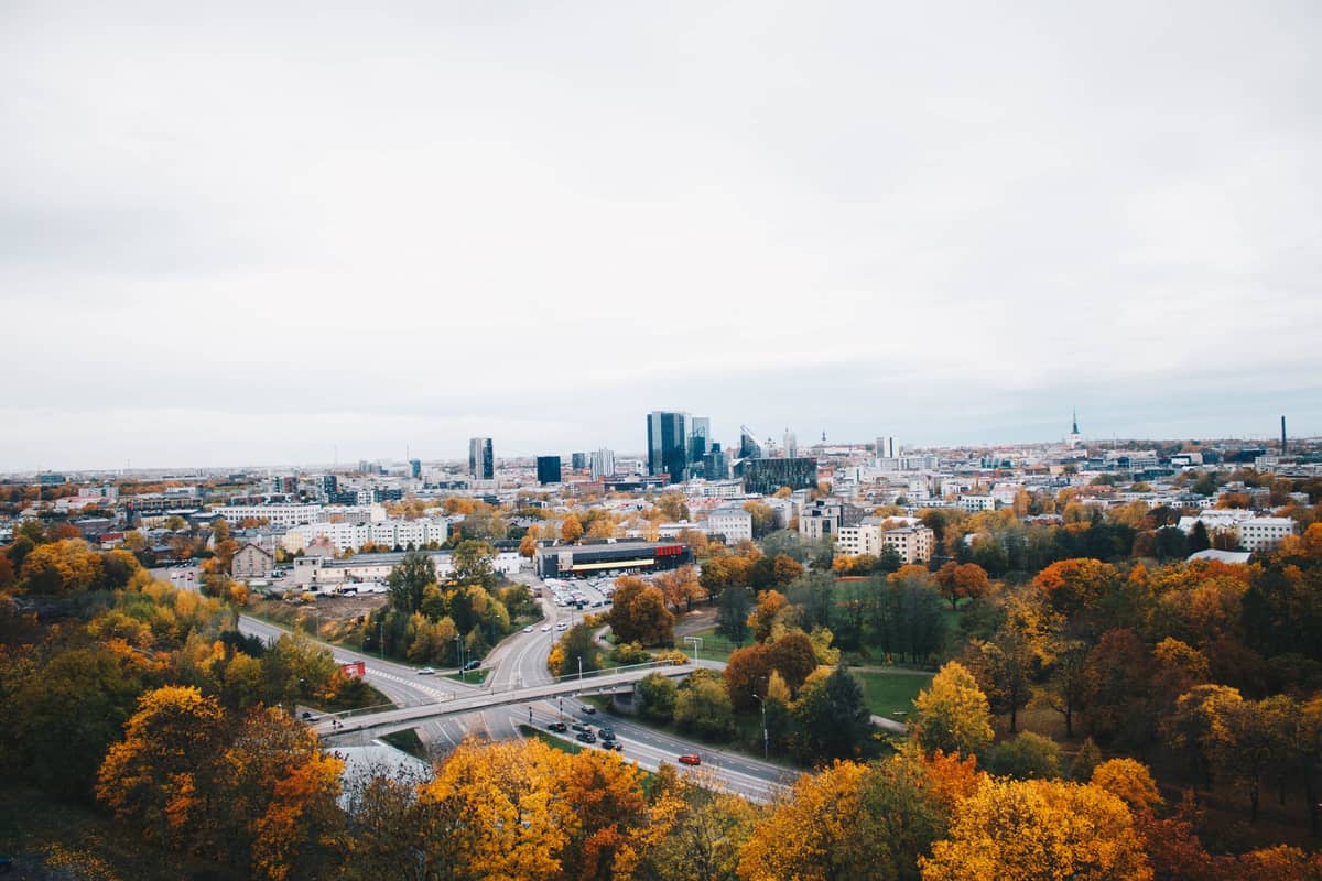 Szeroki widok na panoramę Tallinna z jesiennymi drzewami, zachmurzonym niebem i budynkami miasta w oddali.