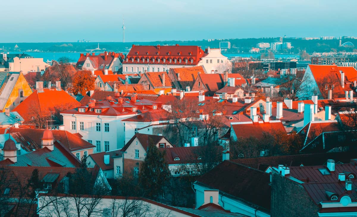 Panoramablick über die Dächer der Altstadt von Tallinn mit dem Meer und der Stadt in der Ferne am Horizont.