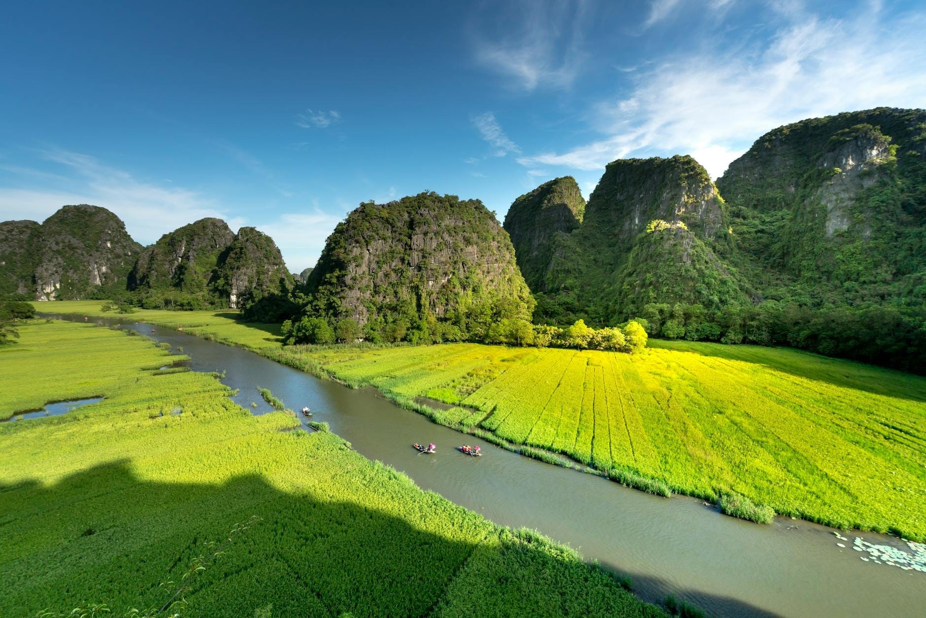 River winding through bright green rice fields and dramatic limestone karst mountains under a blue sky in Tam Coc, Ninh Binh, Vietnam.