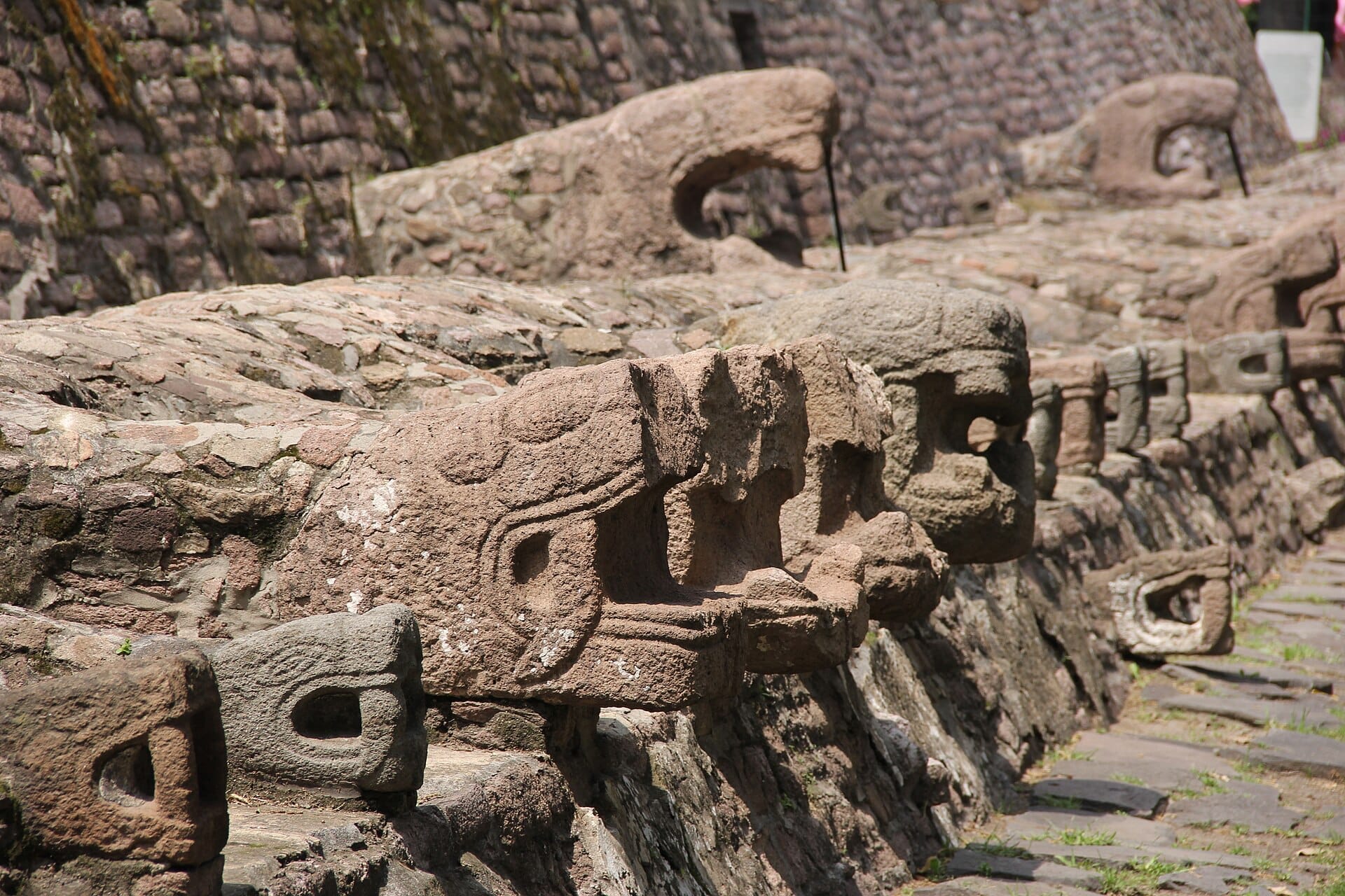 Vista ravvicinata delle sculture di teste di serpente che fiancheggiano le antiche mura in pietra nella Zona Archeologica di Tenayuca in piena luce del giorno.
