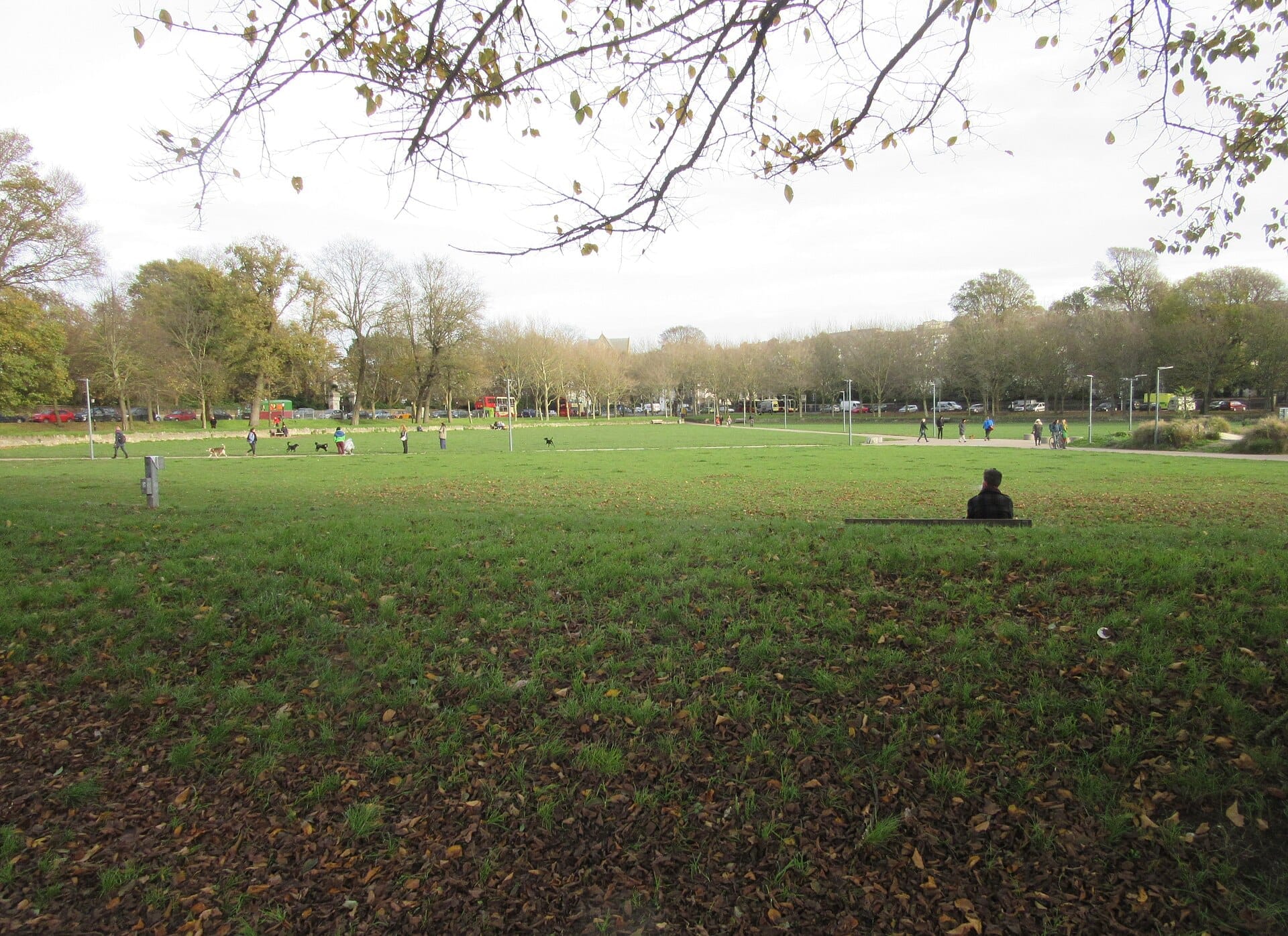 Wide view of The Level, Brighton, showing green open grass, scattered people walking dogs, and autumn trees on a cloudy day.