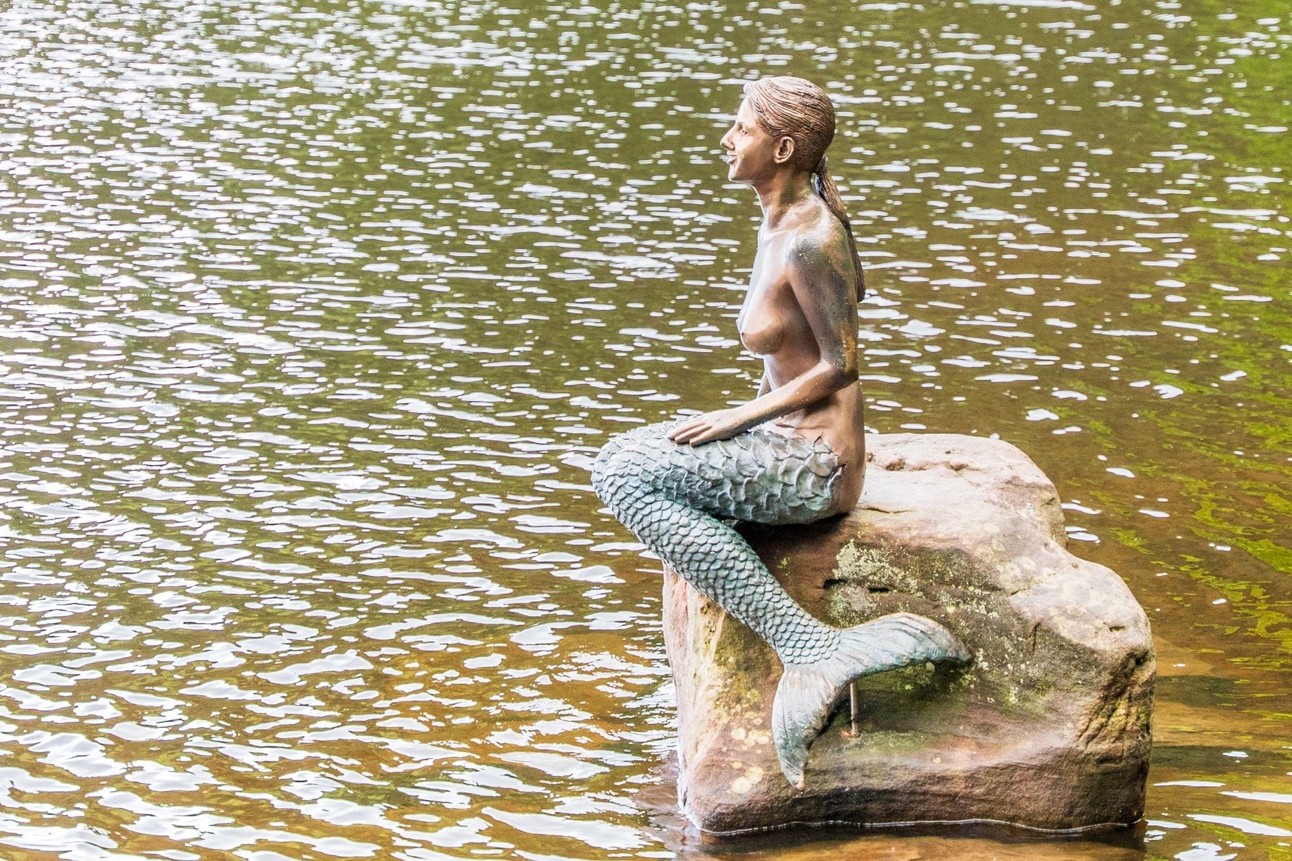 Statua in bronzo di una sirena seduta su uno scoglio vicino all'acqua, come la celebre Sirenetta di Copenaghen, con l'acqua che increspa dolcemente intorno.