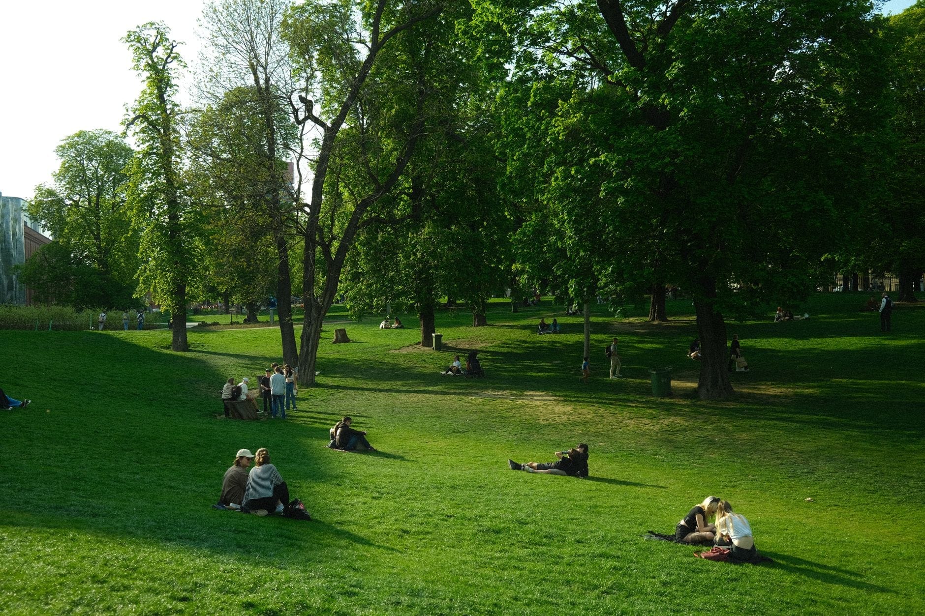 Personas descansando y haciendo picnic en una gran área verde en un parque urbano lleno de árboles en un día soleado.