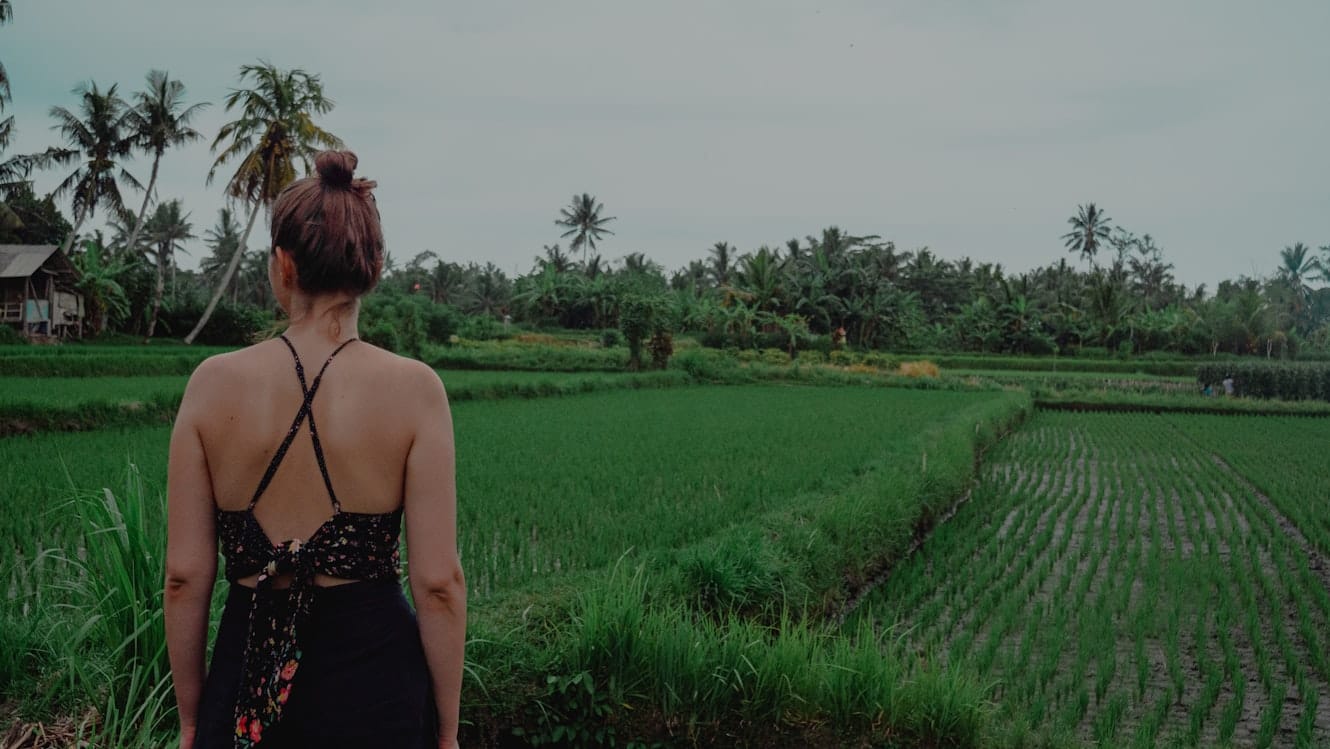Paisagem de terraços de arroz em Ubud com viajante observando o interior tropical de Bali