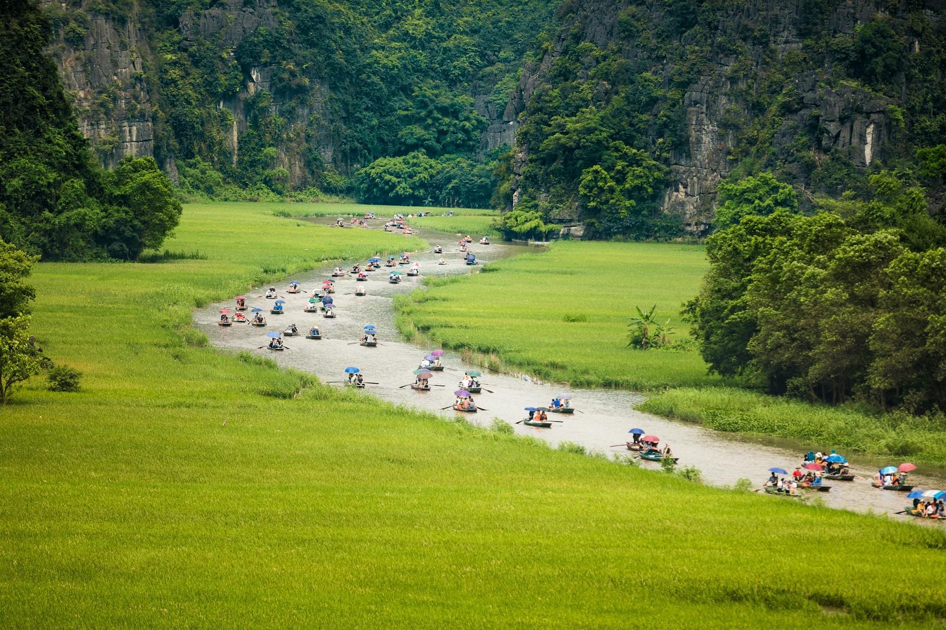 A winding river lined by green rice fields and limestone cliffs, with numerous small boats carrying tourists through the scenic landscape.