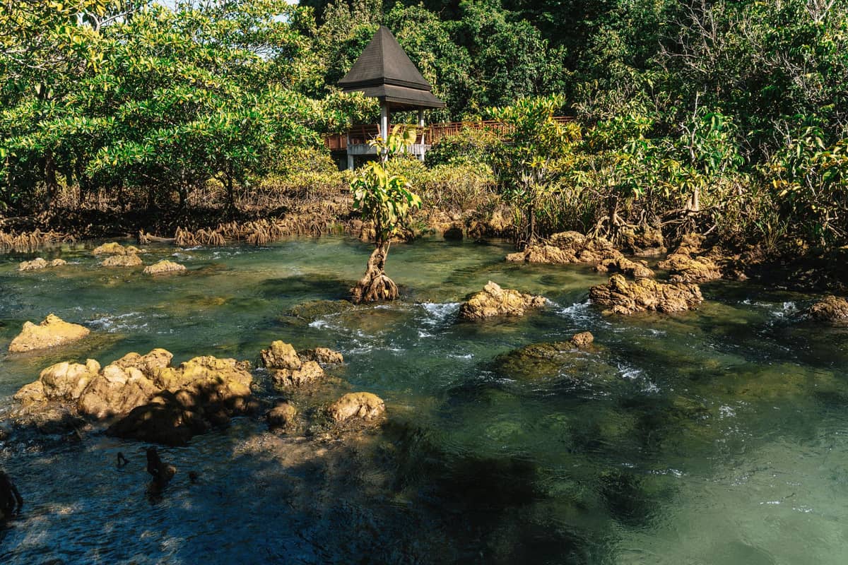 Klarer tropischer Bach mit felsigem Grund, umgeben von üppigen grünen Bäumen und einem Pavillon in der Natur von Krabi, Thailand.