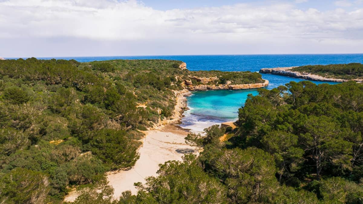 Aerial view of a secluded sandy cove with turquoise water surrounded by pine trees and rocky coastline, typical of Mallorca’s hidden beaches.