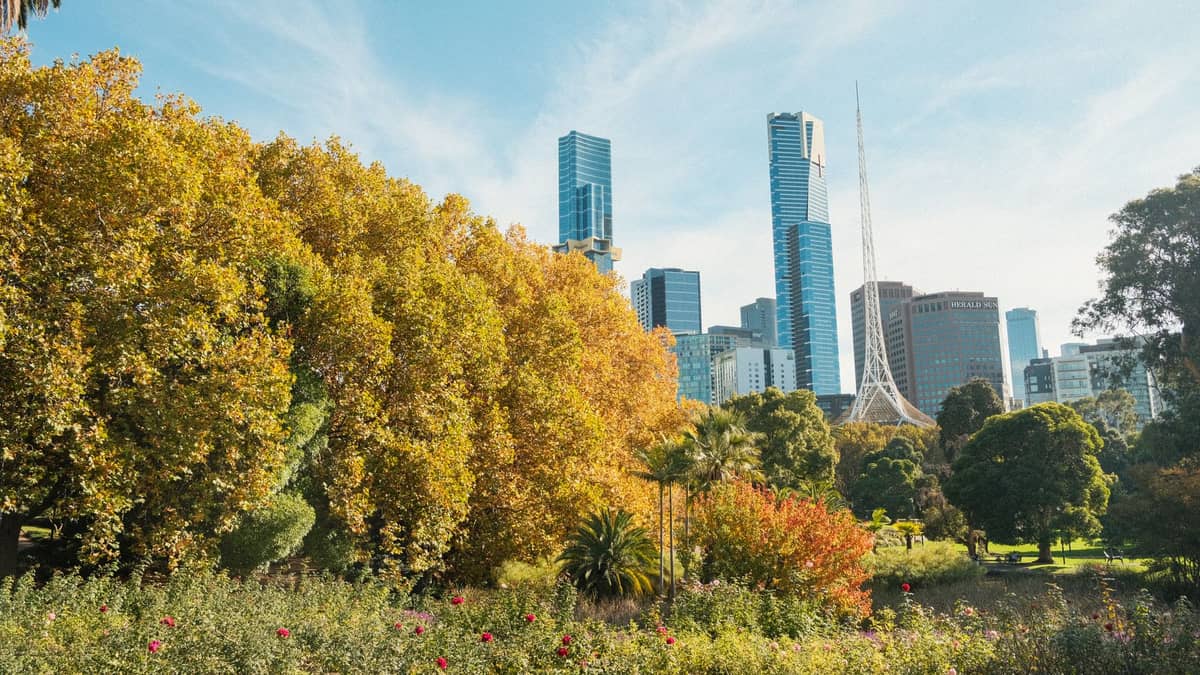 Üppiger Stadtpark mit Bäumen und Grünflächen im Vordergrund und der Skyline von Melbourne mit dem Turm des Arts Centre im Hintergrund an einem sonnigen Tag.