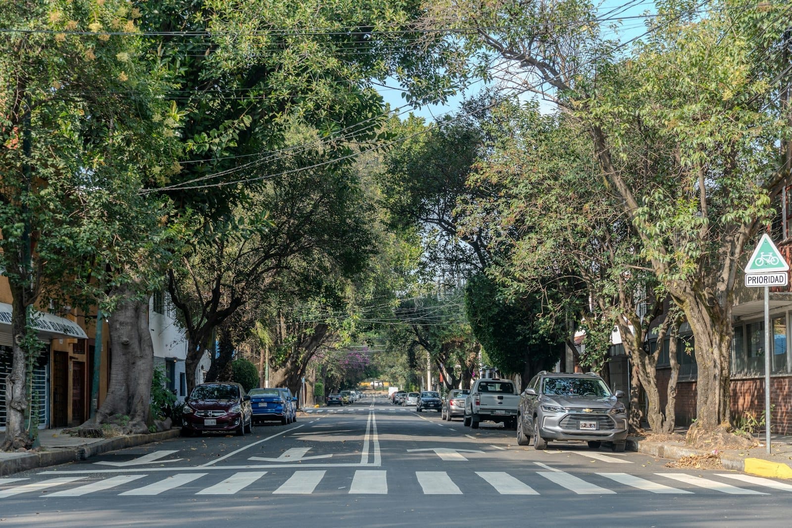 Rua residencial arborizada com carros estacionados, faixa de pedestres e luz solar típica dos bairros Roma ou Condesa na Cidade do México.
