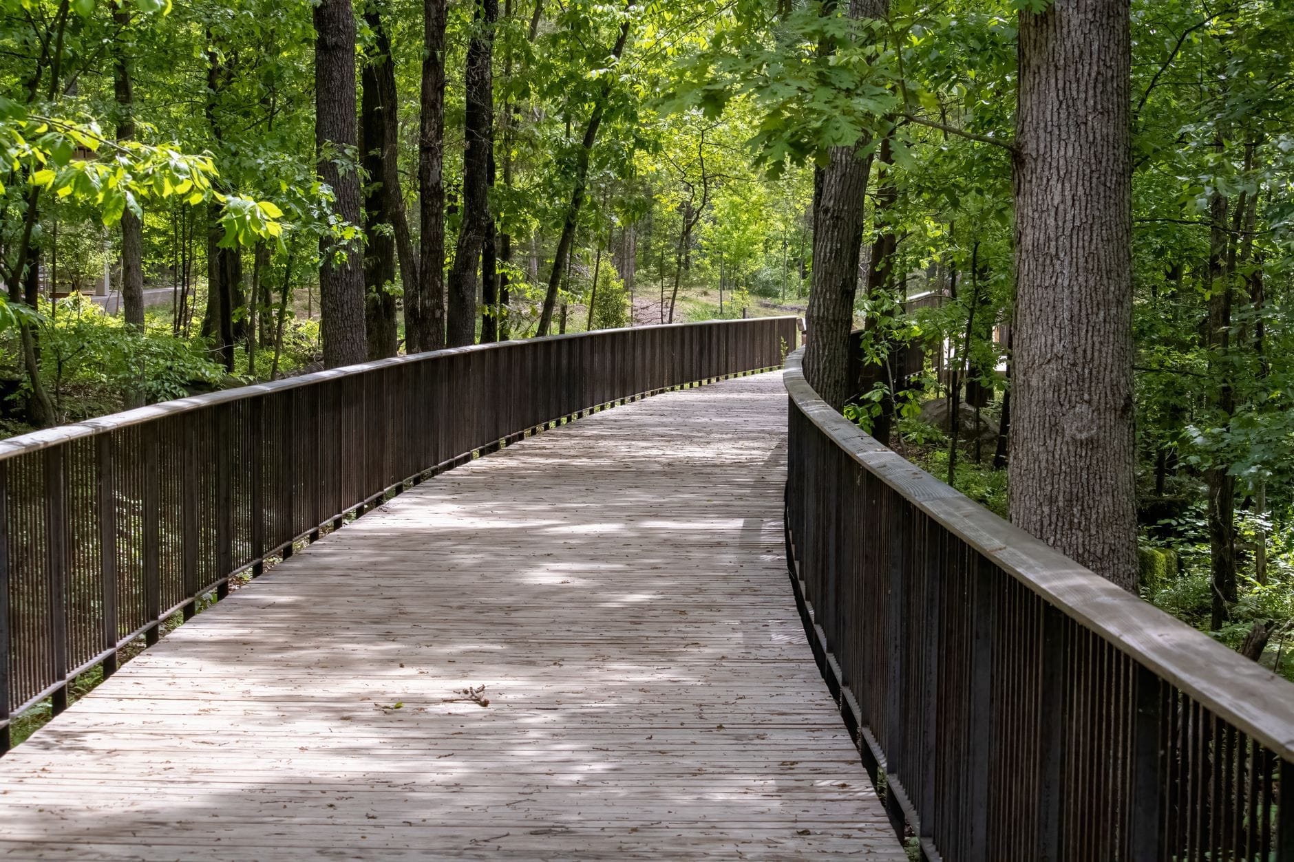 Pasarela de madera elevada y curva que serpentea por un exuberante bosque verde, ideal para caminar o hacer senderismo en un tranquilo parque al aire libre en Nashville.