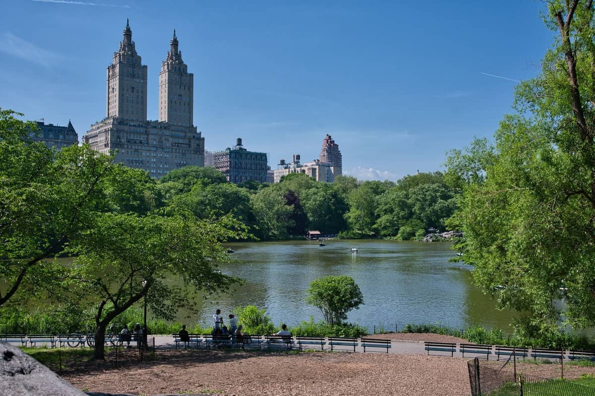 Ein malerischer Blick auf den Central Park mit Bäumen, einem See, Bänken und den hohen Gebäuden von New York City im Hintergrund unter einem blauen Himmel.