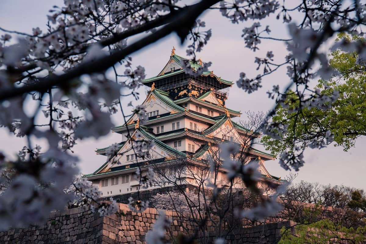 Osaka Castle seen through blooming cherry blossom branches, with stone walls and clear castle details under soft daylight.
