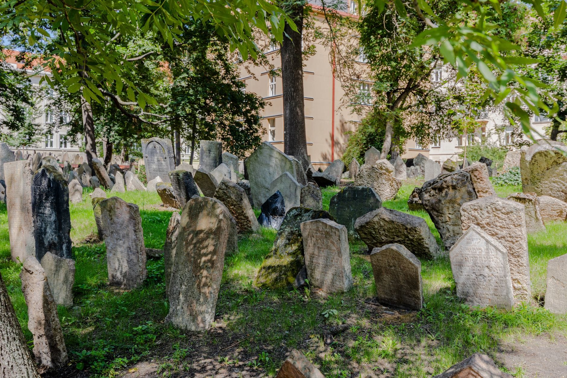 Alter Jüdischer Friedhof in Prag mit dicht gedrängten, schiefen Grabsteinen unter belaubten Bäumen und Gebäuden im Hintergrund.