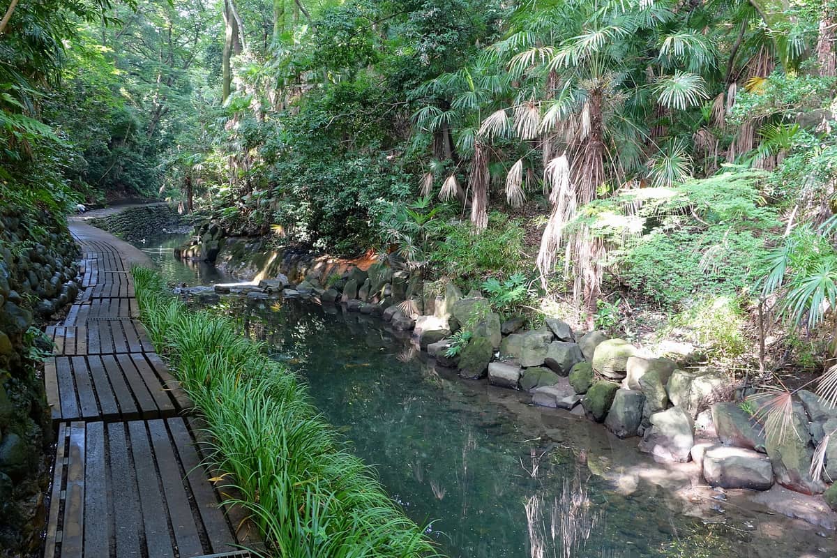 Curving wooden path alongside the Yazawa River, lush foliage, and stone embankment in Todoroki Valley, Tokyo’s only natural ravine.