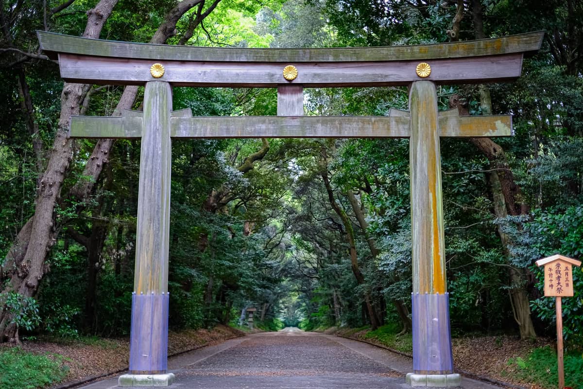 Large wooden torii gate set among lush green forest on a wide path, evoking the sacred, ancient woodland grounds of a Tokyo shrine.