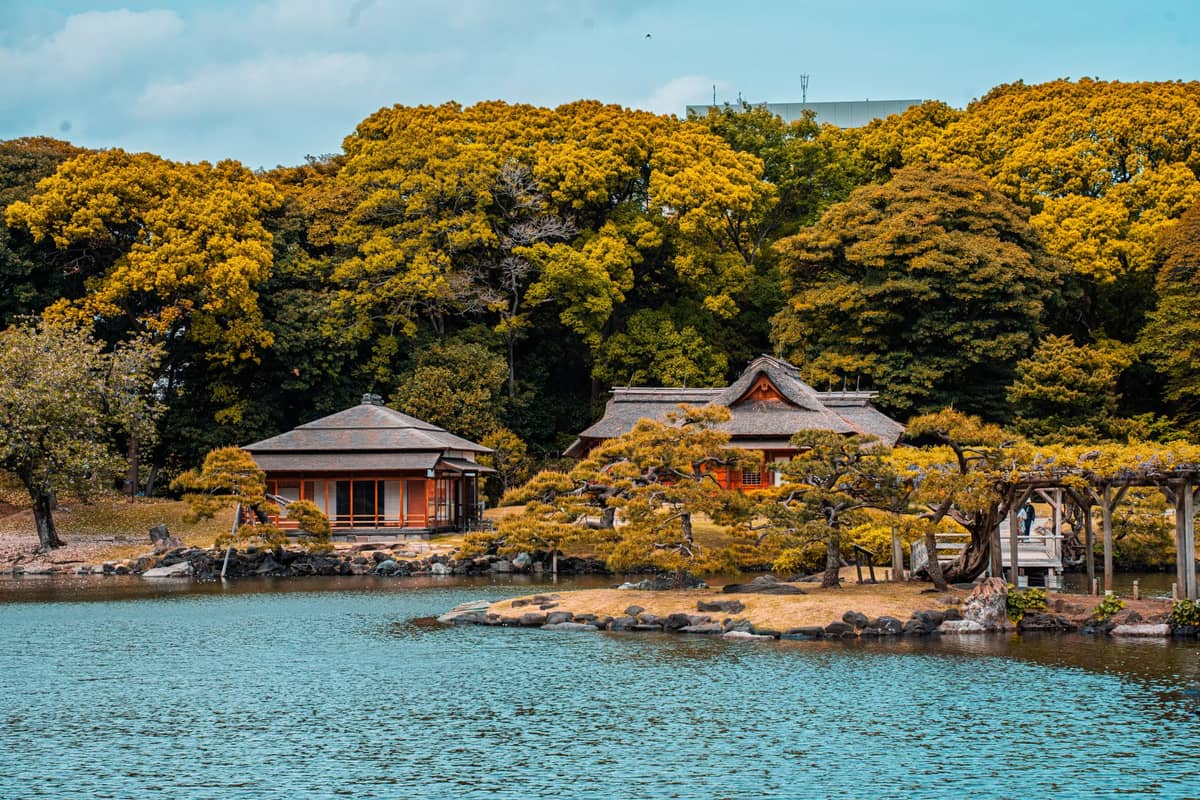 Traditional Japanese garden in Tokyo with two tea houses, manicured pines, and a large central pond, surrounded by lush greenery.
