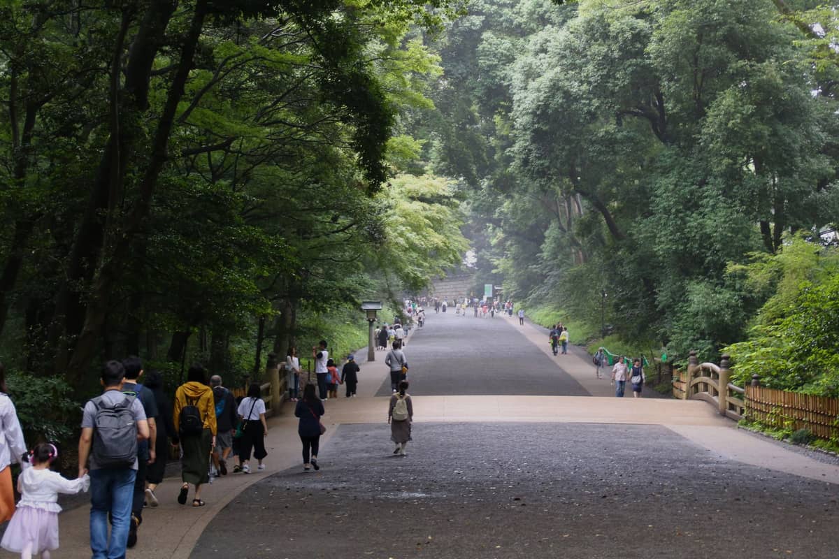 Wide pathway lined with tall trees in a busy Tokyo park, with people walking and greenery creating a forested retreat atmosphere.