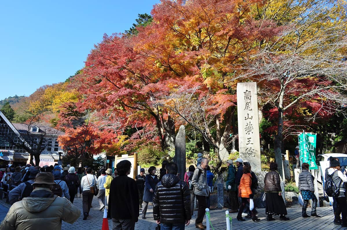 Crowds at the entrance of Mount Takao with vibrant fall foliage and stone pillars under a clear blue sky.