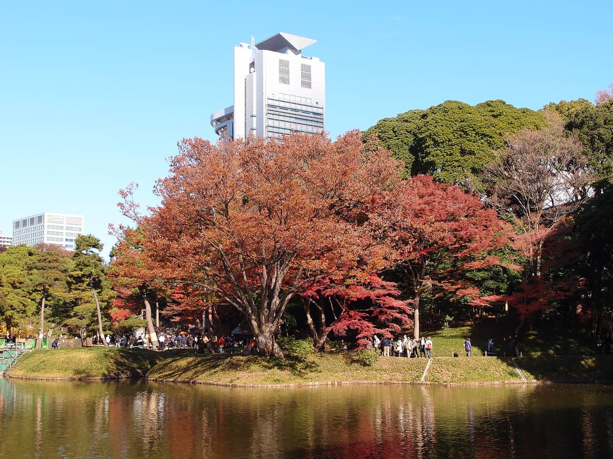 A Tokyo city park with a pond, crowds of people, and vibrant red-orange autumn trees, set against a backdrop of modern high-rise buildings.