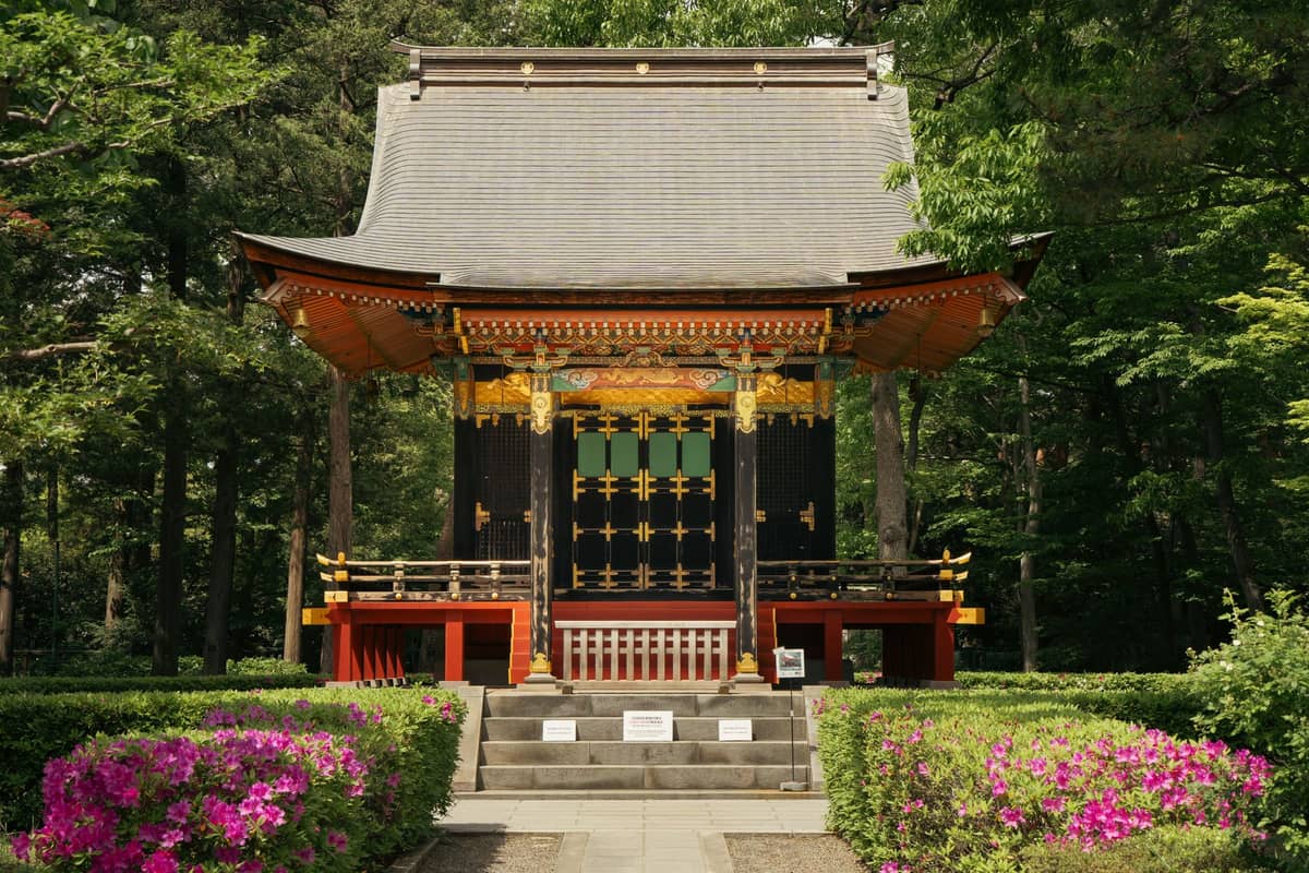 Traditional Japanese shrine surrounded by spring greenery and blooming pink azaleas, illustrating seasonal beauty beyond cherry blossoms in Tokyo.