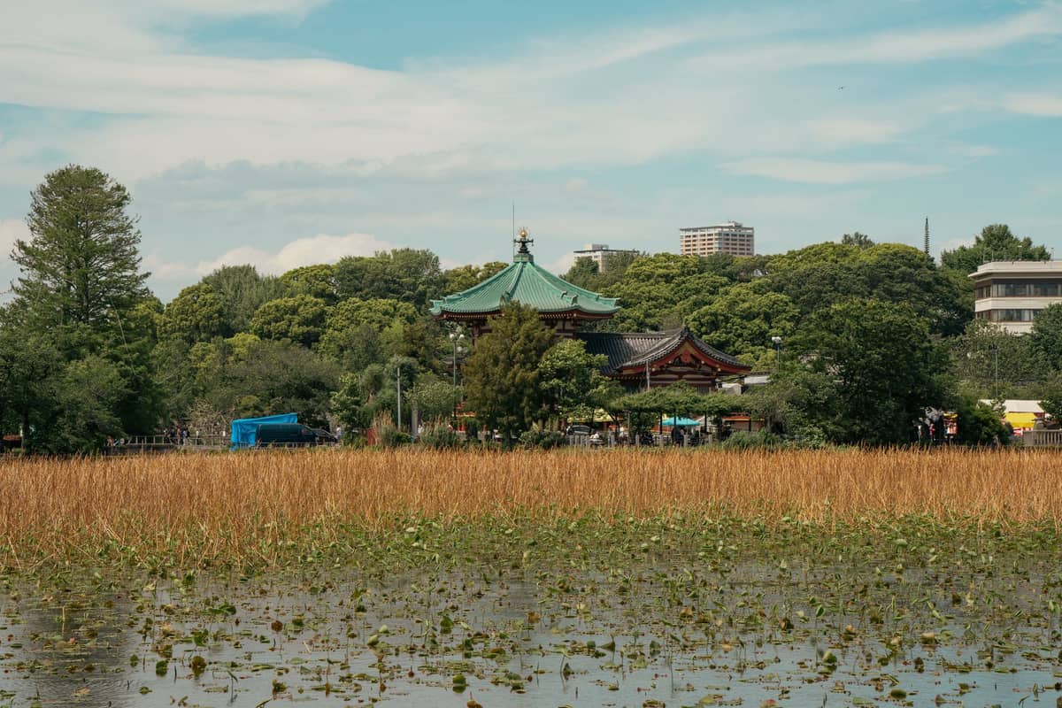 View across Shinobazu Pond in Ueno Park, Tokyo, with traditional Japanese building and city skyline in the background.