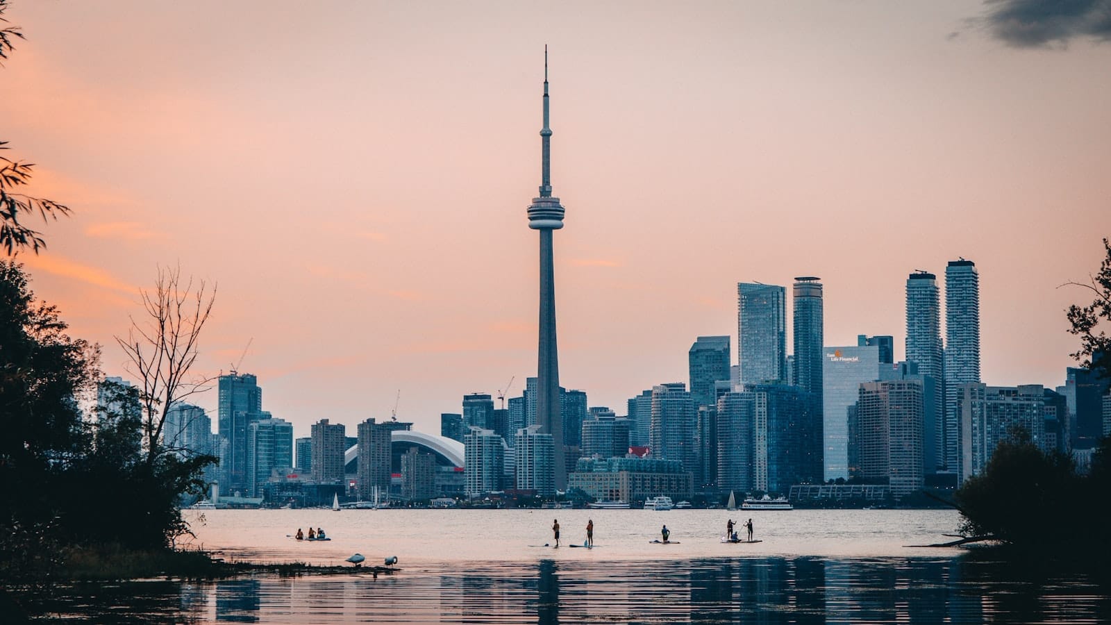 วิวเส้นขอบฟ้าโตรอนโตยามเย็นจาก Toronto Islands น้ำสงบ มีต้นไม้กรอบภาพ และมีคนพายบอร์ดอยู่ด้านหน้า