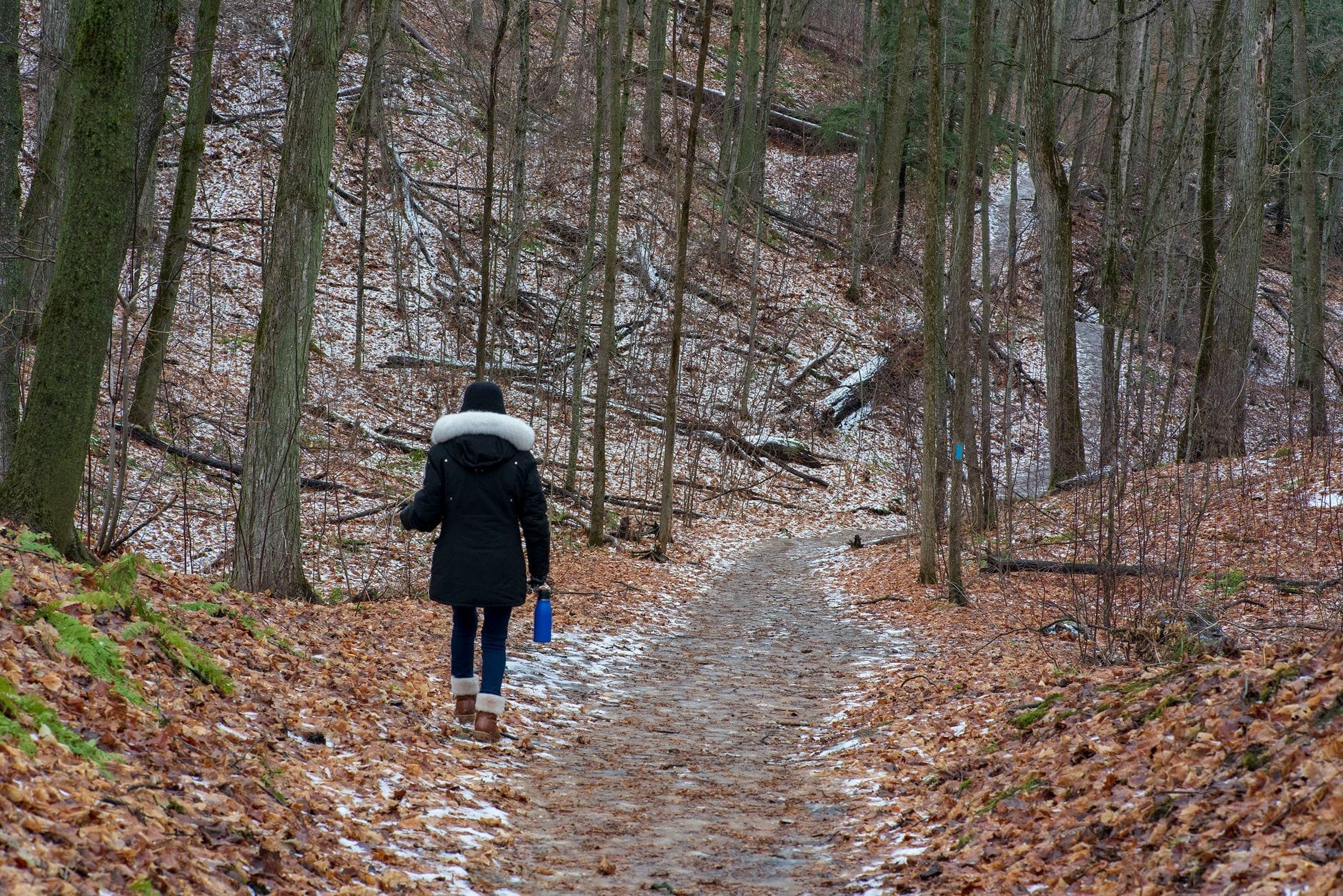 Pessoa com casaco de inverno caminhando por uma trilha de ravina florestal parcialmente gelada e coberta de folhas, mostrando condições do final do outono ou início do inverno.